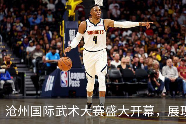 沧州国际武术大赛盛大开幕，展现武术魅力与文化传承
